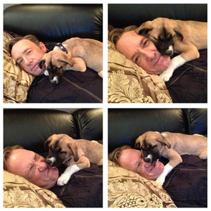 Kevin Spacey Twitter, Dog Boston Kevin Spacey Twitter, Dog Boston